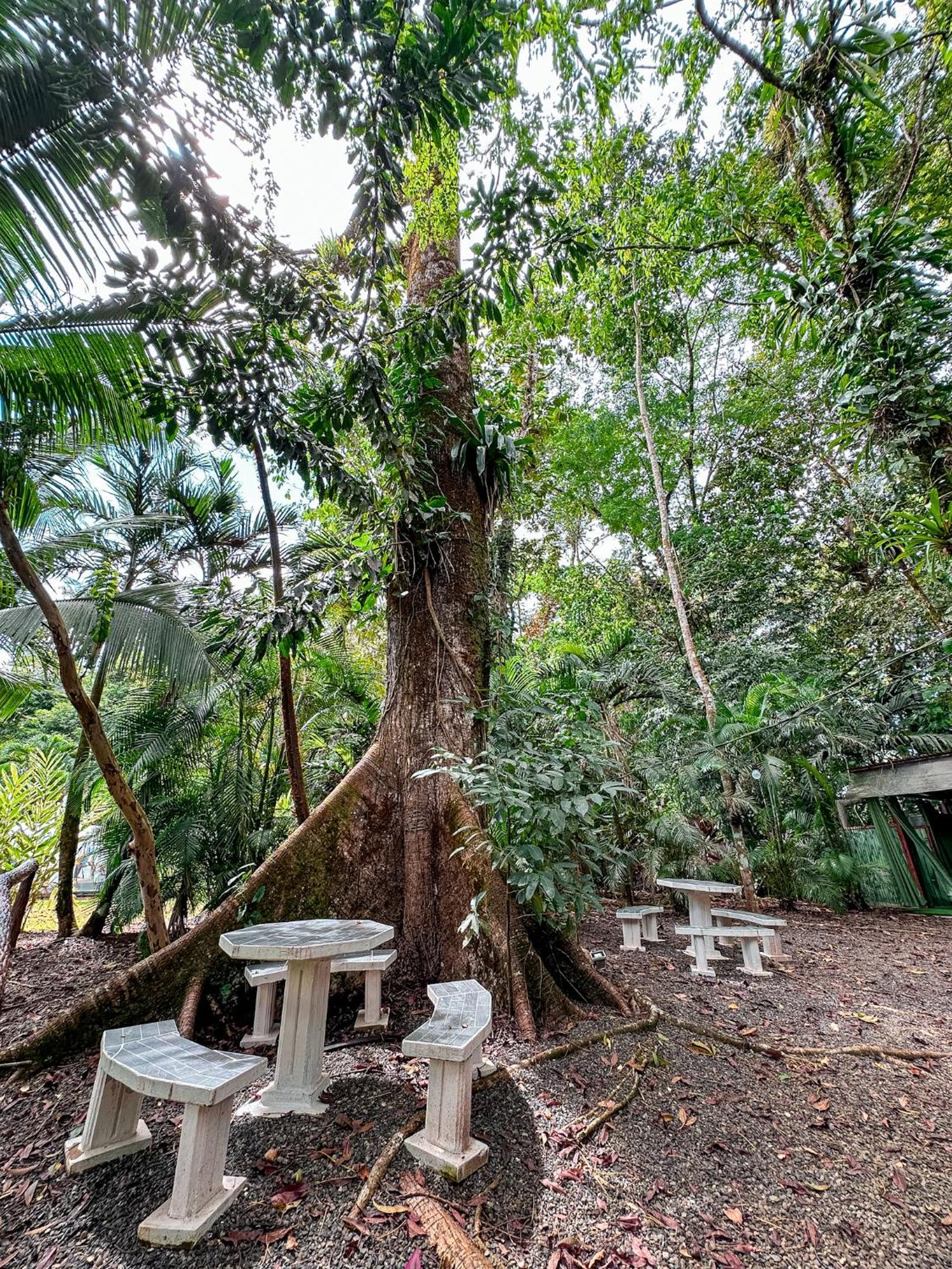 Cabanas Rio Escondido En La Fortuna Exterior foto